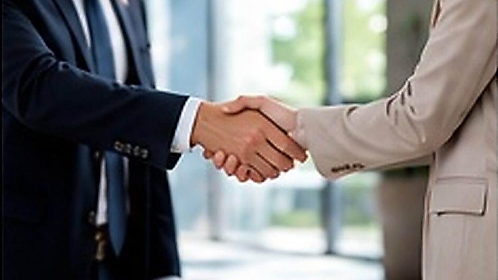 Handshake in a bright office